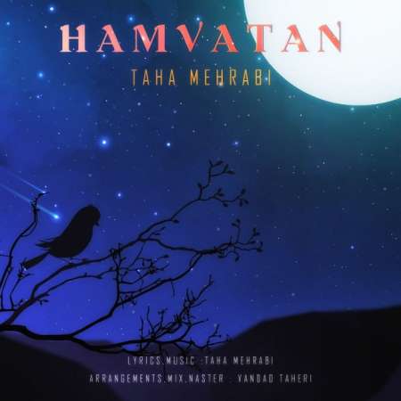 Taha Mehrabi – Hamvatan